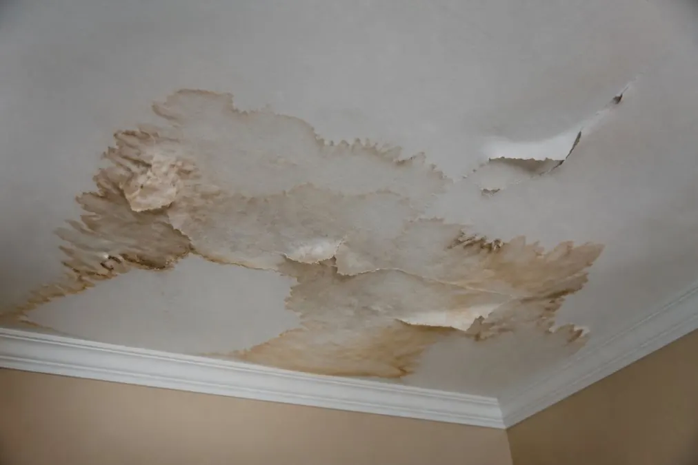 Close-up of water stains and discoloration visible on a drywall ceiling, with moisture damage patterns and peeling paint indicating hidden water damage from a pipe burst behind the wall